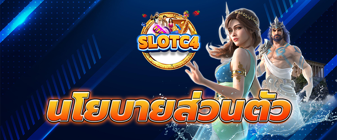 นโยบายความเป็นส่วนตัว